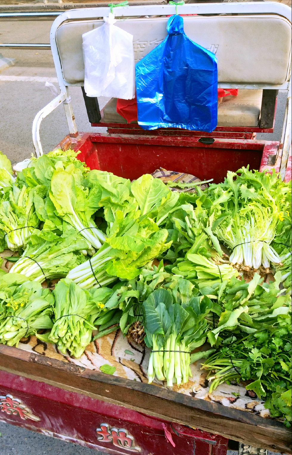 小小的电动三轮车满载着青菜和豆角,新鲜诱人