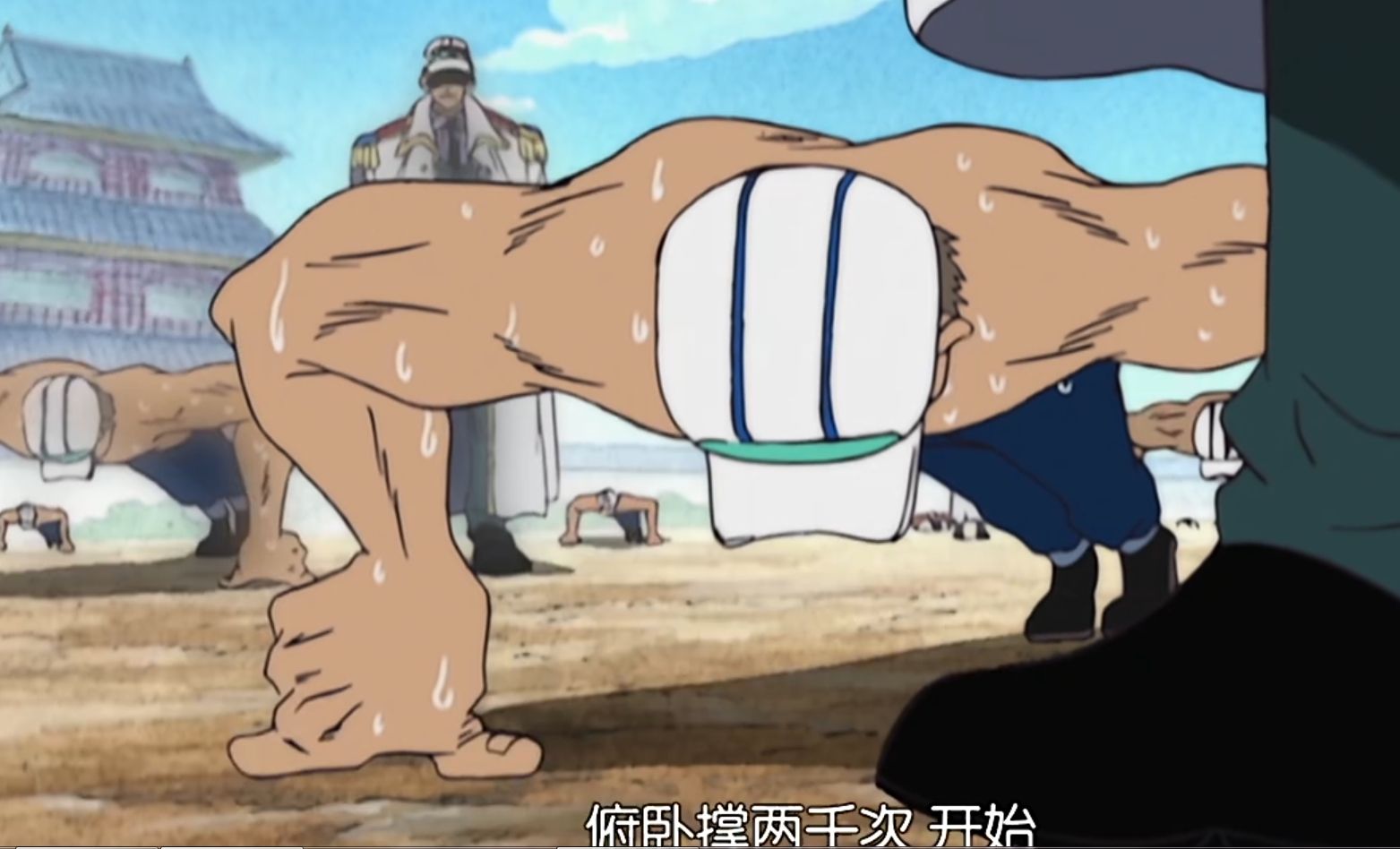 《海贼王》海军培养如何优质是海兵的?话说题标是倒过来念的?