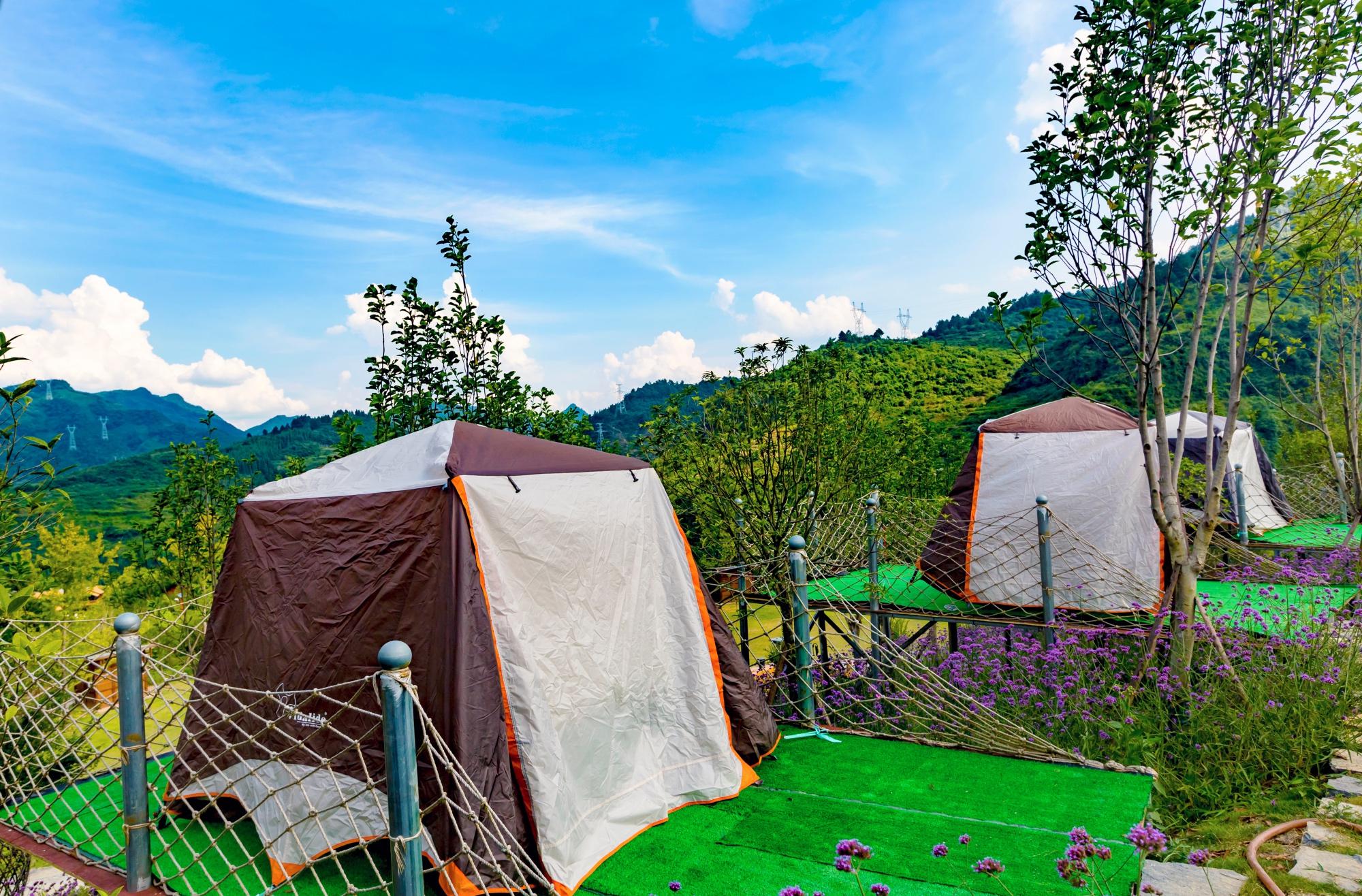 贵州这个花海去一次就忘不掉!