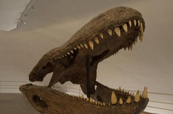 鳄鱼祖先: 史前最大型鳄类动物, 直接秒杀恐龙, 体长达12.5米