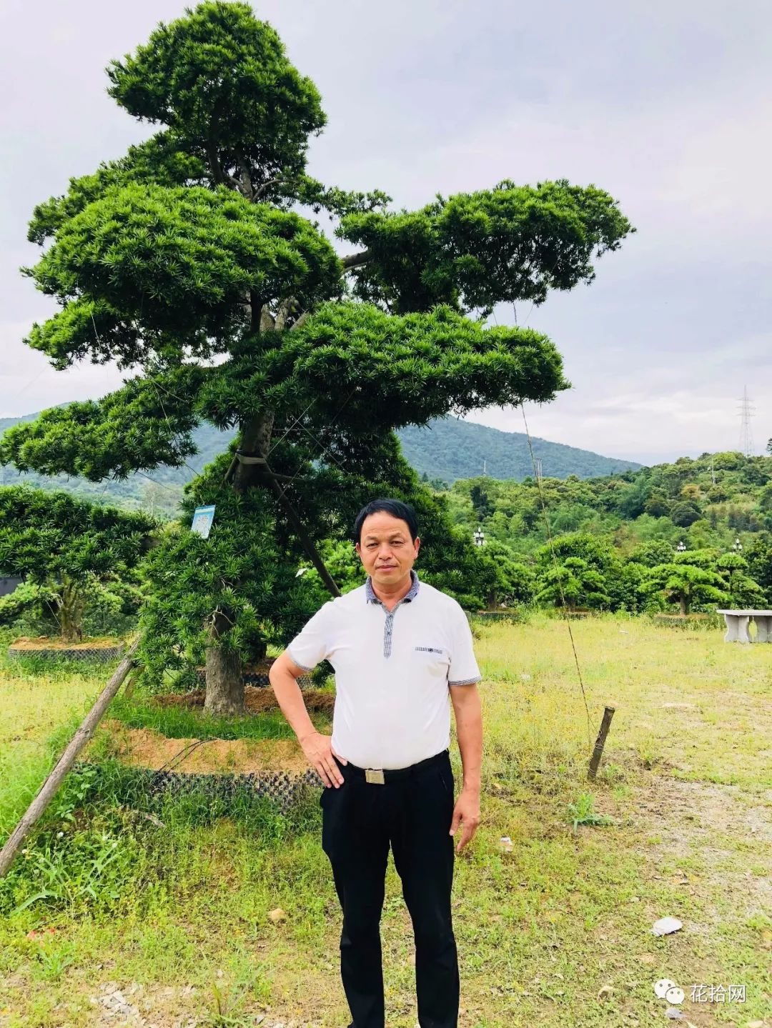 花拾网 | 专访永春花卉协会党支部书记林木水
