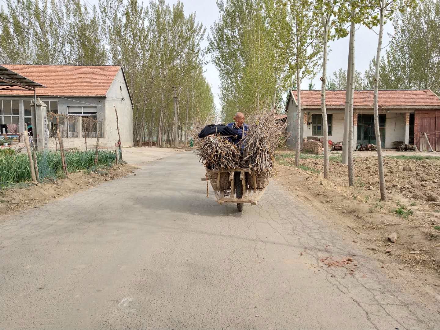 老式太平车图片