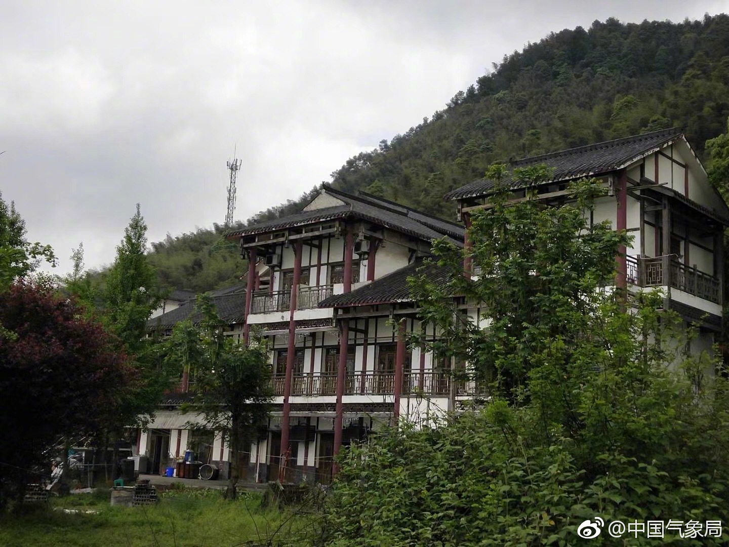 电影《十面埋伏》拍摄地,重庆,茶山竹海 蕙心摄影