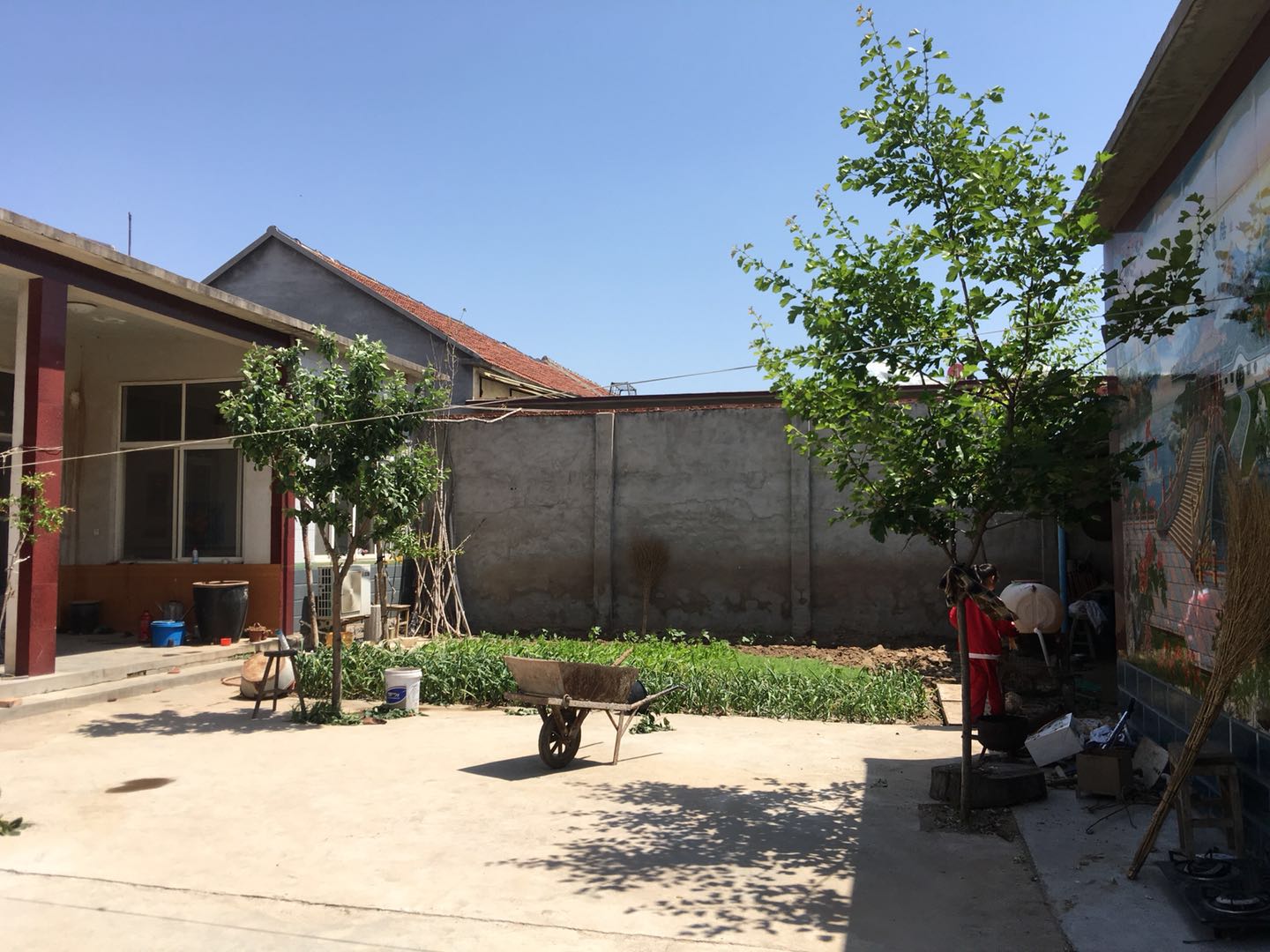 农村花二十万建的四合院,宽敞明亮,胜过楼房|四合院|农村|院子_新浪