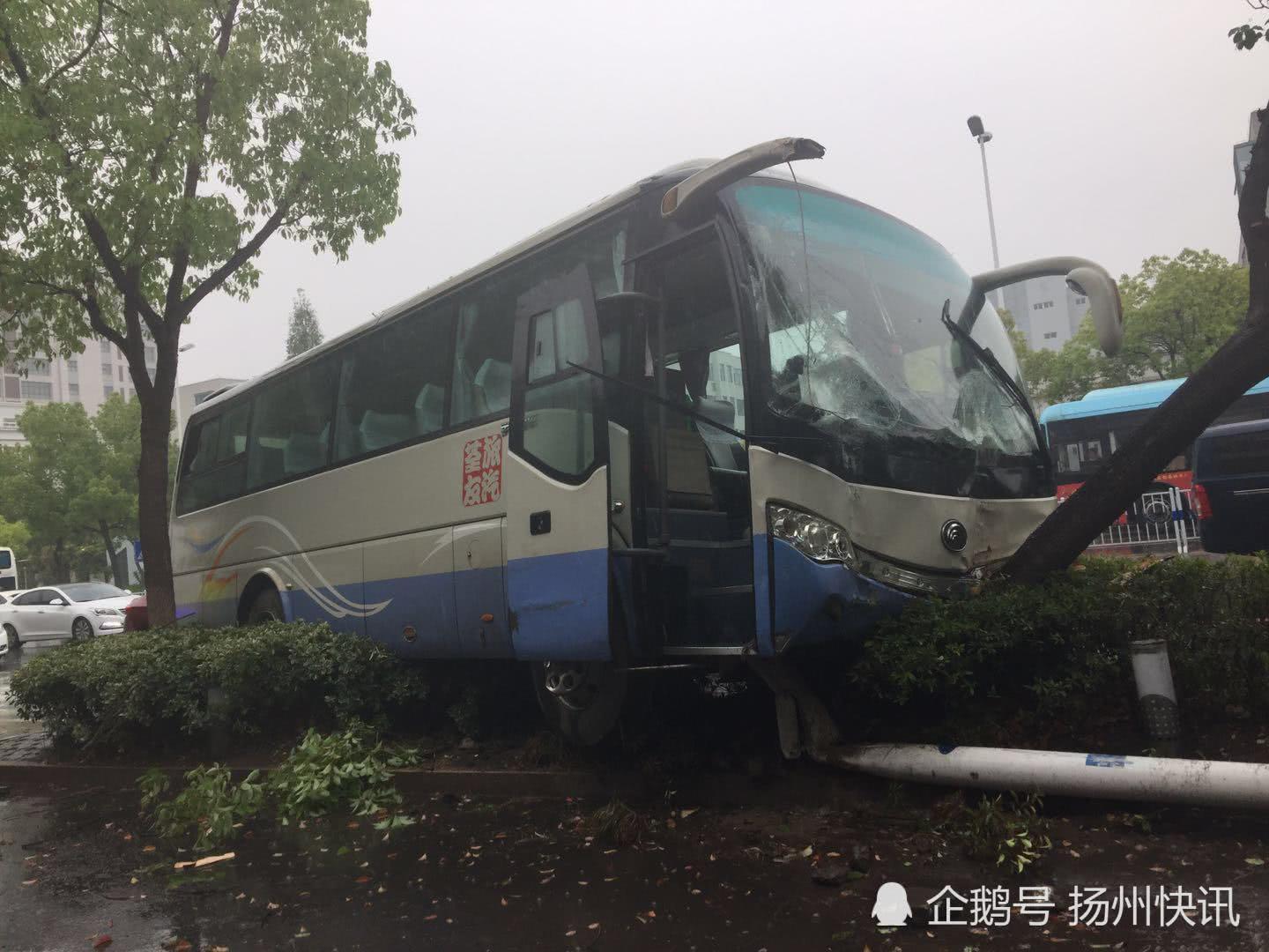 扬州一大巴车雨天失控撞树!多人受伤