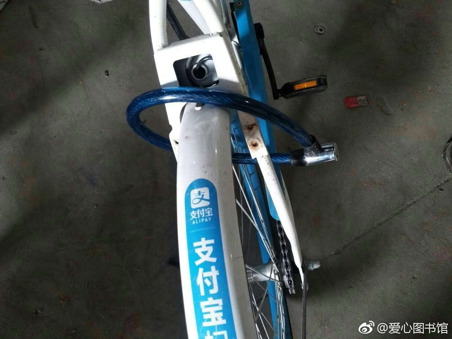 二维码被破坏,车锁被锯,上私锁,哈罗单车正在遭到各种摧残