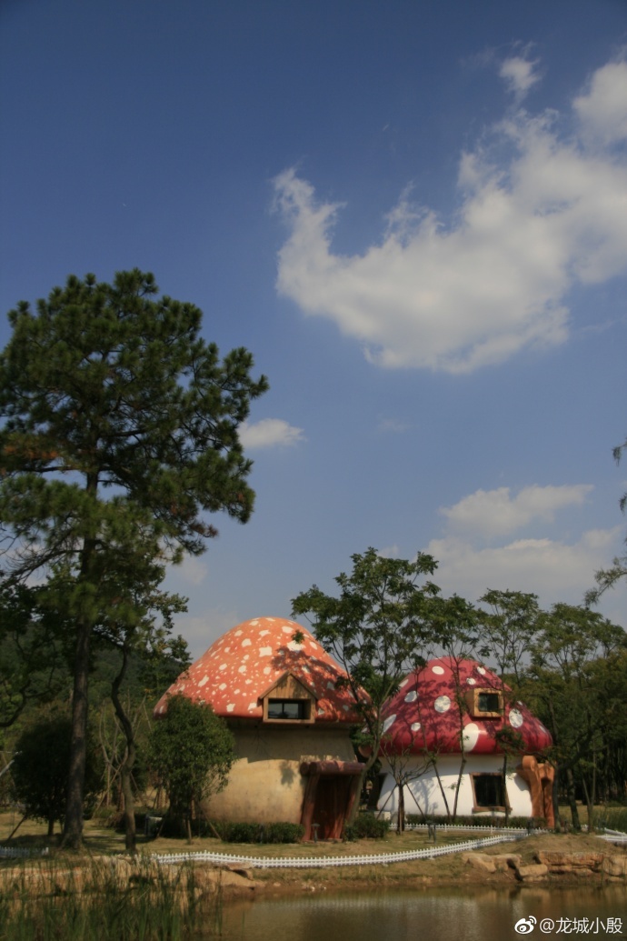 这些俏皮可爱的蘑菇屋,为孩子们打造了童话世界