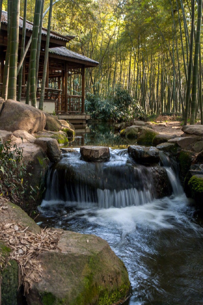 幽林闲客觅居所,清泉石竹两相竖