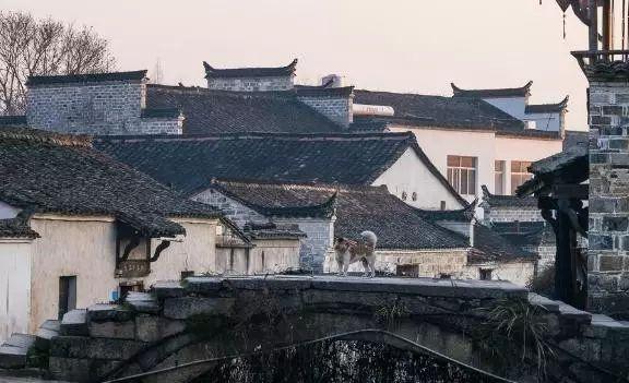 漫步在扑朔迷离的巷子里,脚下是清一色的石板路,数着数着,仿佛就迷了