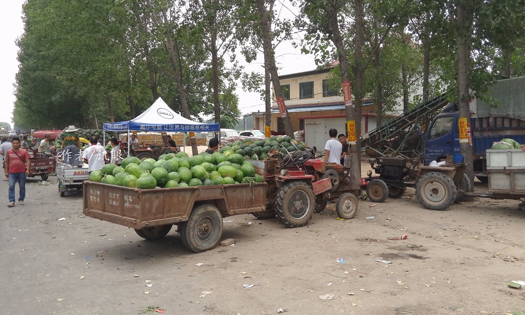 在这宽阔的大马路上西瓜车一排队就是1公里还多,就是这样的场面依然