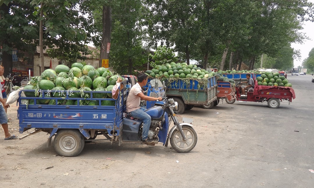 万斤西瓜没人要,瓜车在路边儿排队1公里却无人问津!_新浪看点