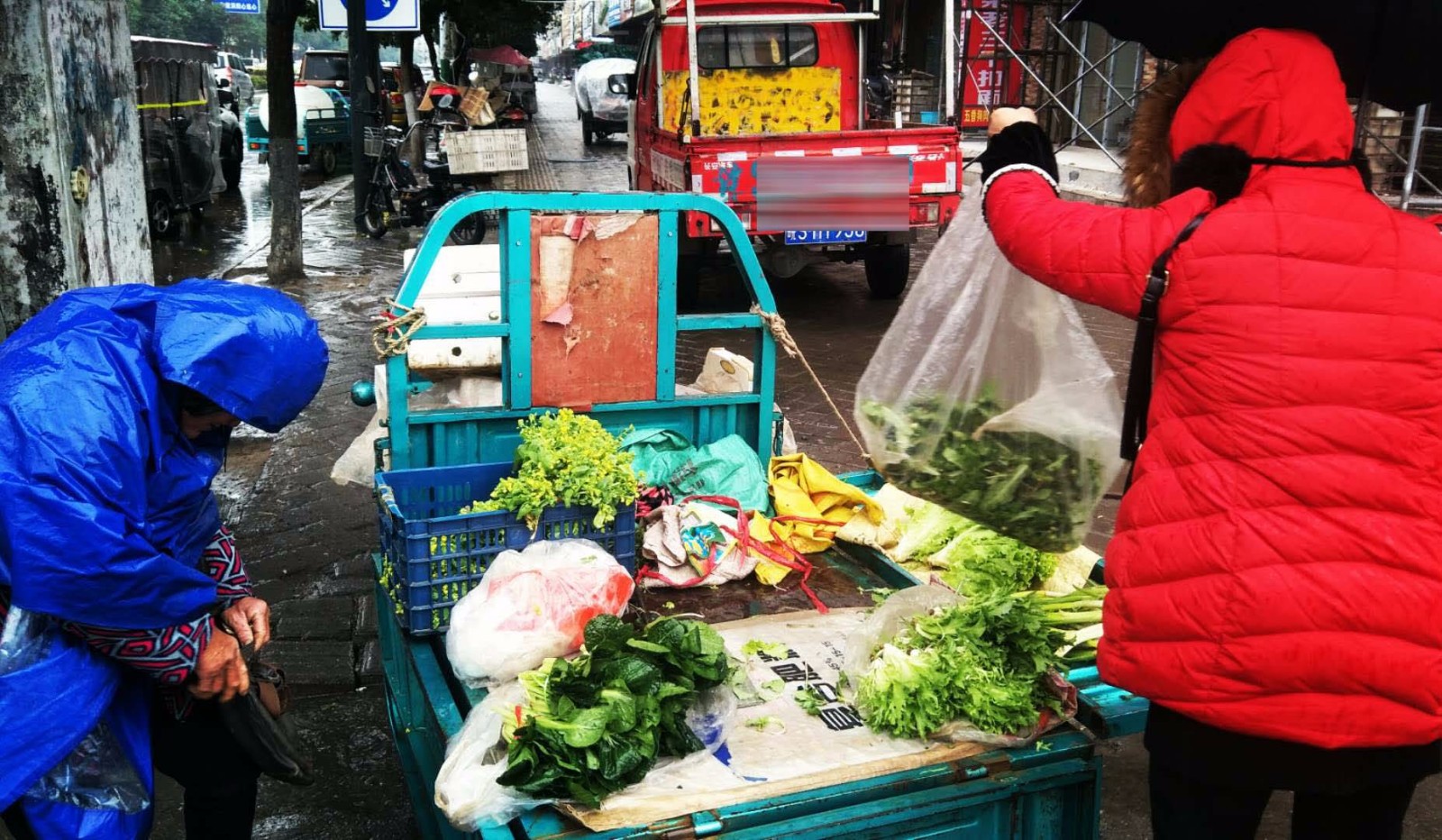 七旬老人20公里外冒雨卖菜 野菜热销蔬菜冷