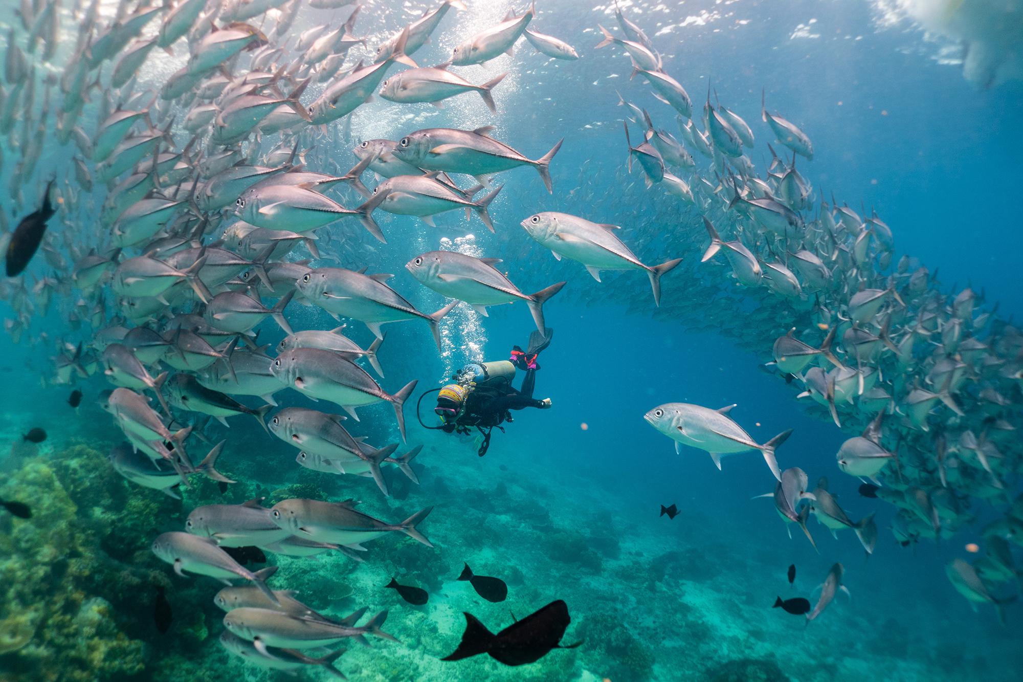 假如从火星带回土壤样品，会存在火星生物入侵的可能吗...
