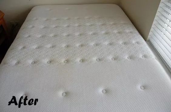 一張床墊=千萬蟎蟲！簡單一招 不用洗不用曬 蟎蟲去無蹤