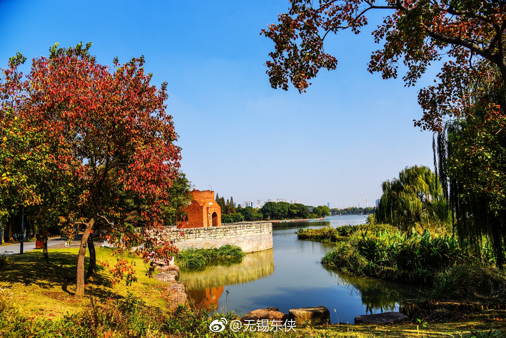 行摄无锡 和煦的秋日映照下,无锡蠡湖金城湾公园层林尽染