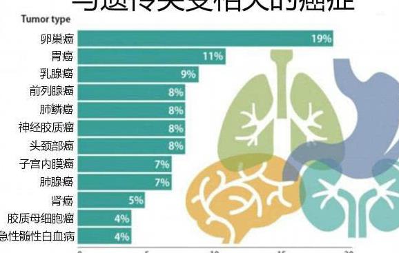 因为她也携带有brca癌症突变基因