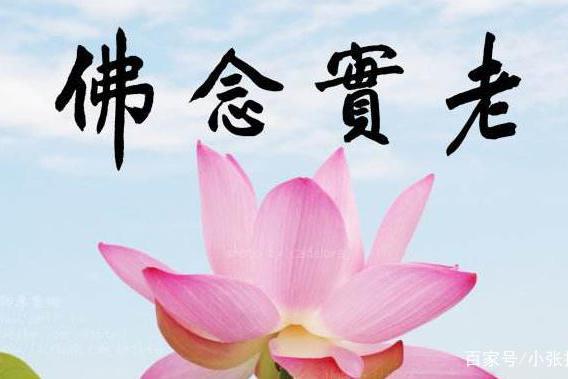 法师开示,念佛法门,别无奇特,贵在老实念佛,贵在老实两字.