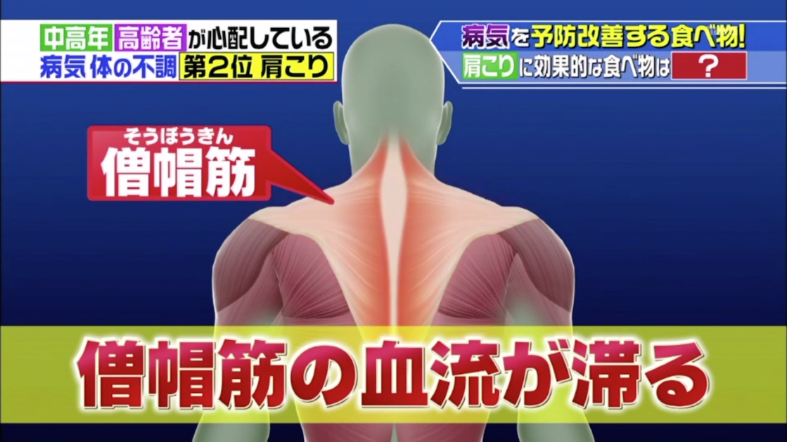 肩膊一带肌肉被称为「僧帽筋」,是支撑头部,颈部的肌肉.