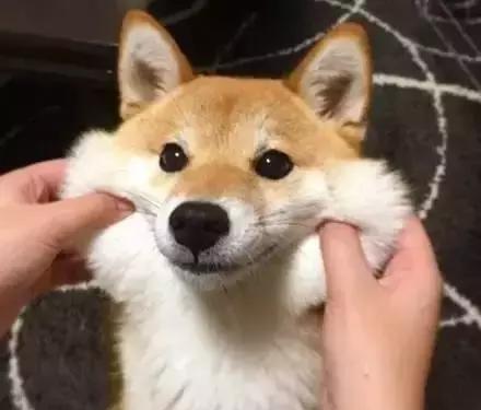 还有抛媚眼的~歪头笑的~有笑不露齿的