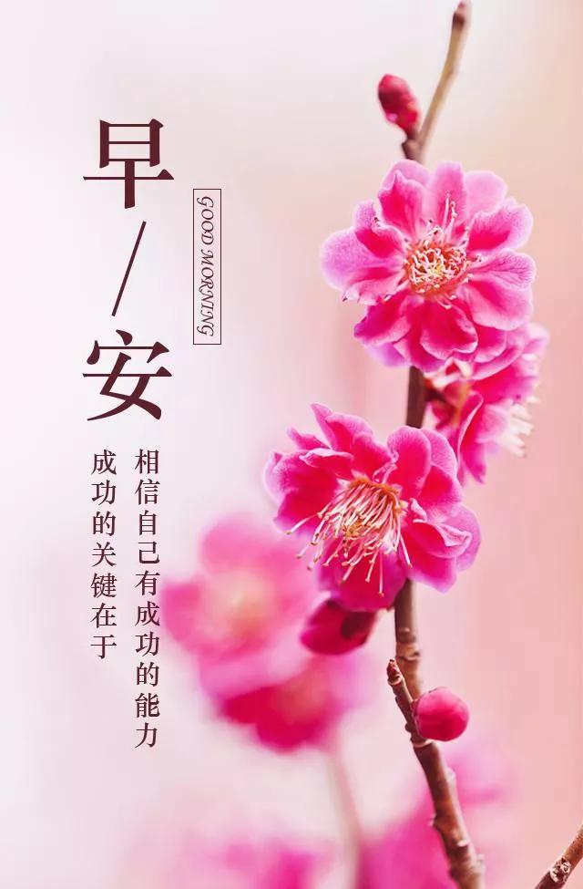 早安励志语录 美好的一天开始了