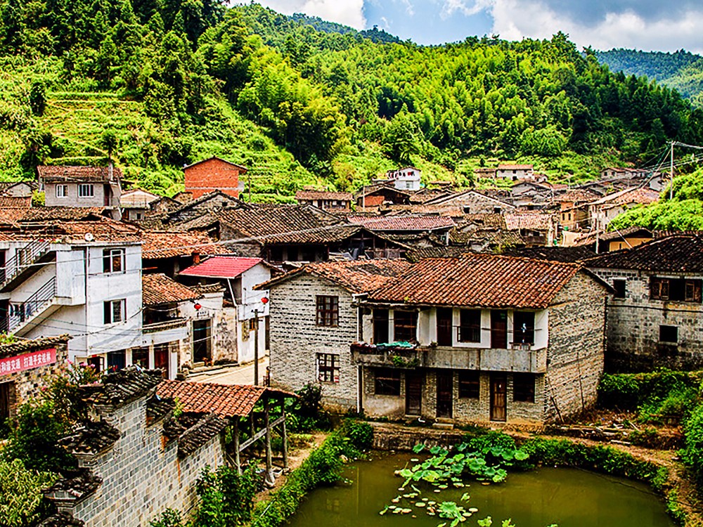距今有一千多年历史的横坑古村迎来了电影《大树下的守望》开拍