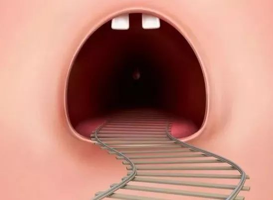 咨询专家后,确定孩子语言障碍的主要原因,如果是有关舌,唇,下颌,软腭