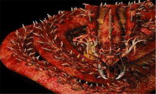 把那个像大煤堆的山,叫作"老黑山",这就是远近驰名的德都"十四座名山"