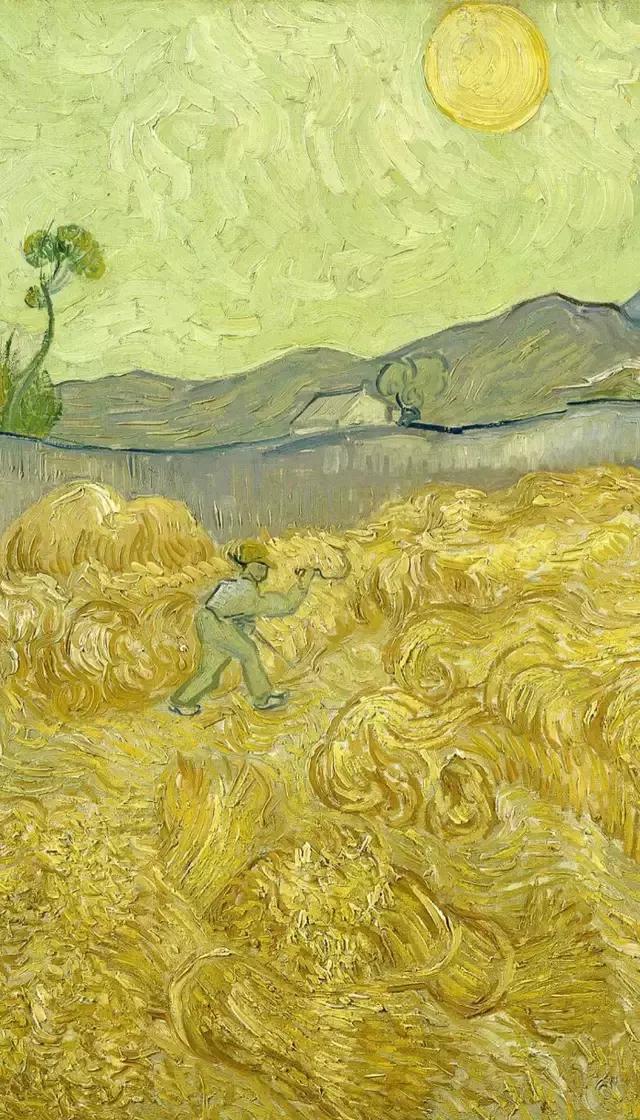 梵高笔下的金色的麦浪
