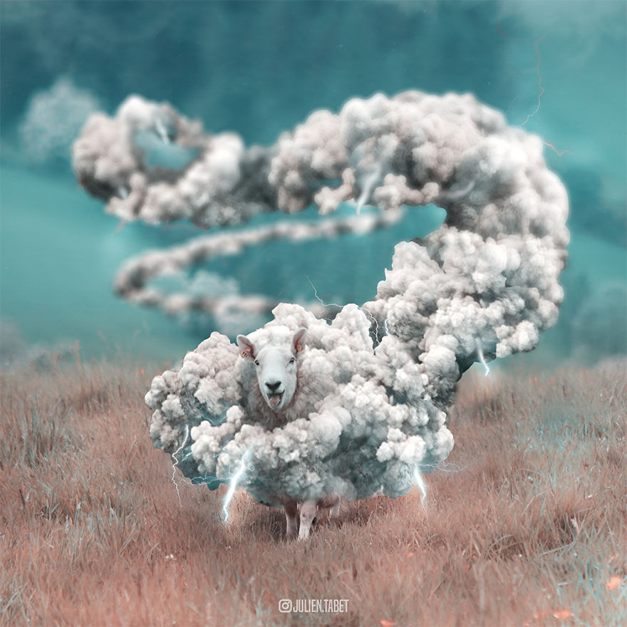 充满幻想的视觉艺术一组超现实关于动物的创作byjulientabet