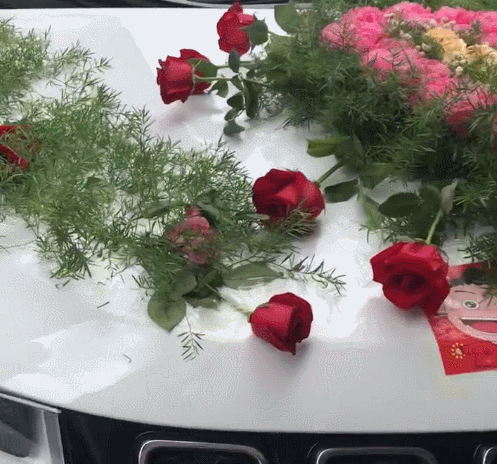 结婚的婚车上面,一边挂鸡,一边挂鸭子,属于什么样的意义?