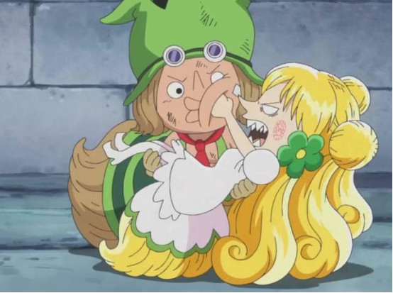 第二荷尔蒙果实