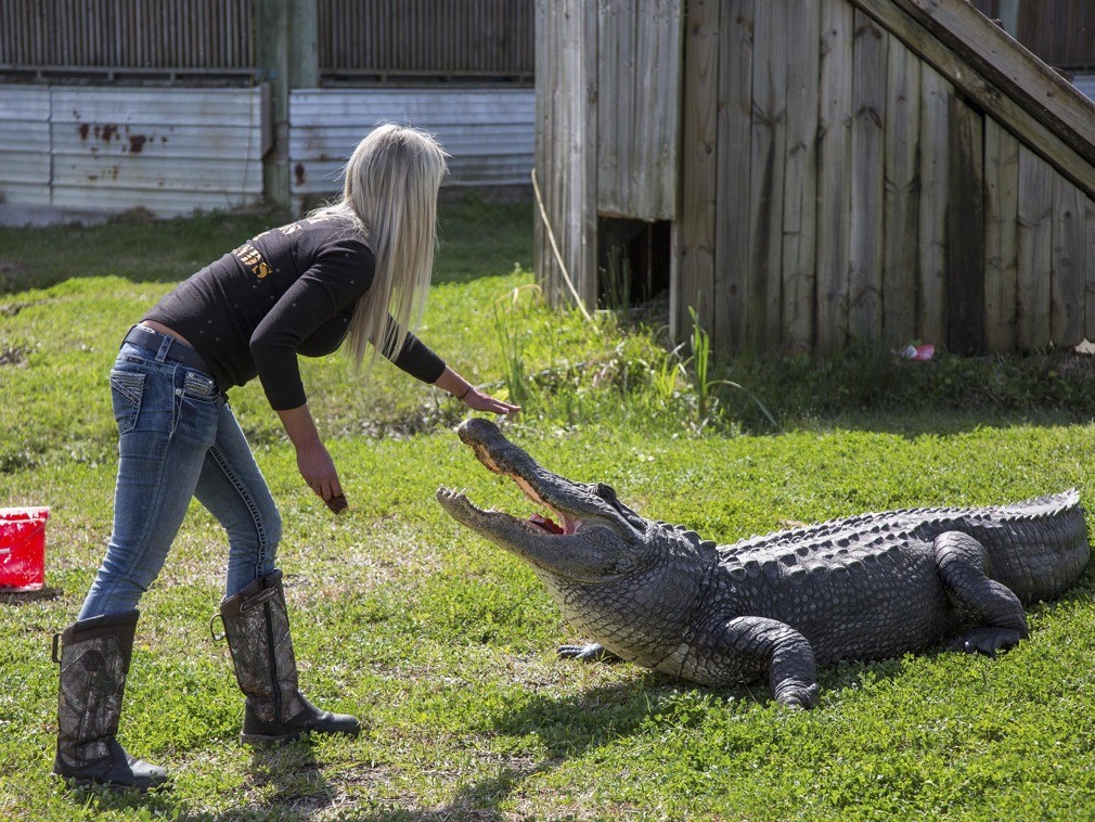 美女与鳄鱼毒蛇共处一室 创立"鳄鱼世界"