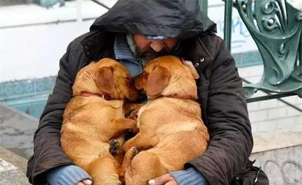 狗狗和主人打动的霎时,最后一张泪崩了