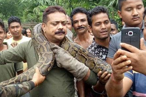 男子捉到一条巨蟒,到处炫耀拍照,蟒蛇性情突变,他竟险些丧命