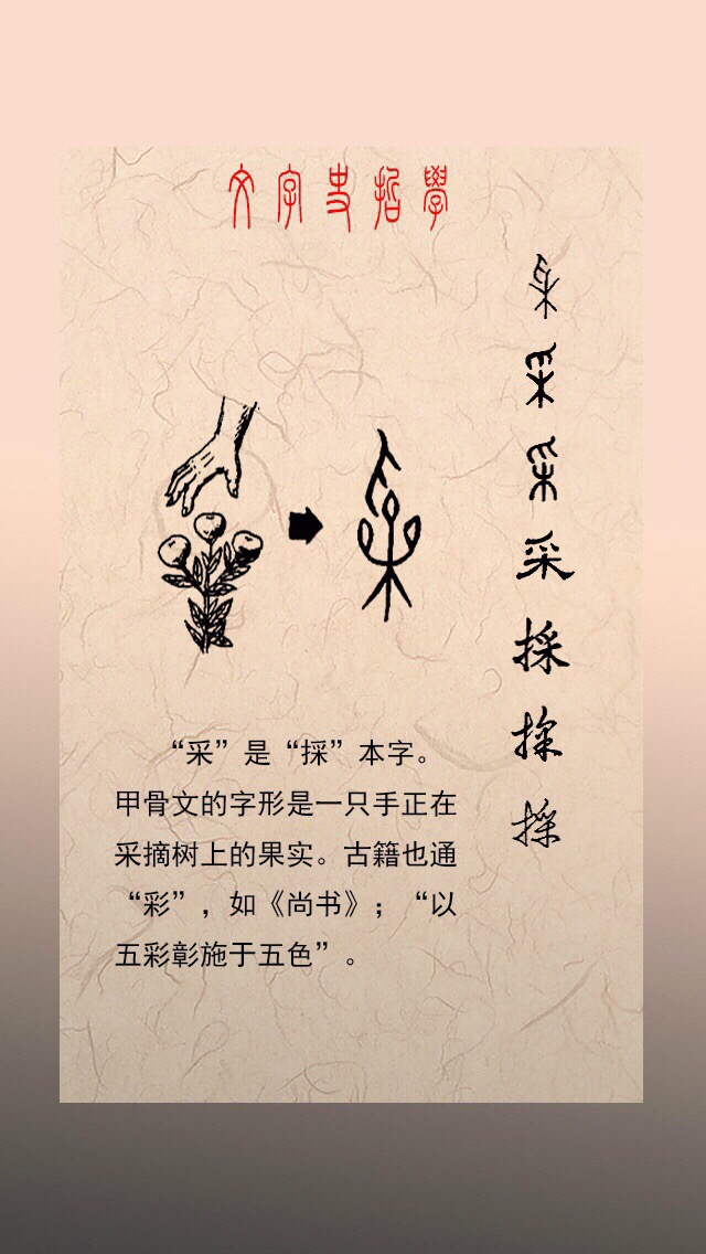 6000年的成长轨迹,《汉字演变集萃》|汉字|汉字演变集萃|中华民族