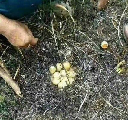 每到上班的日子早上起床的你,简直不能太形象.