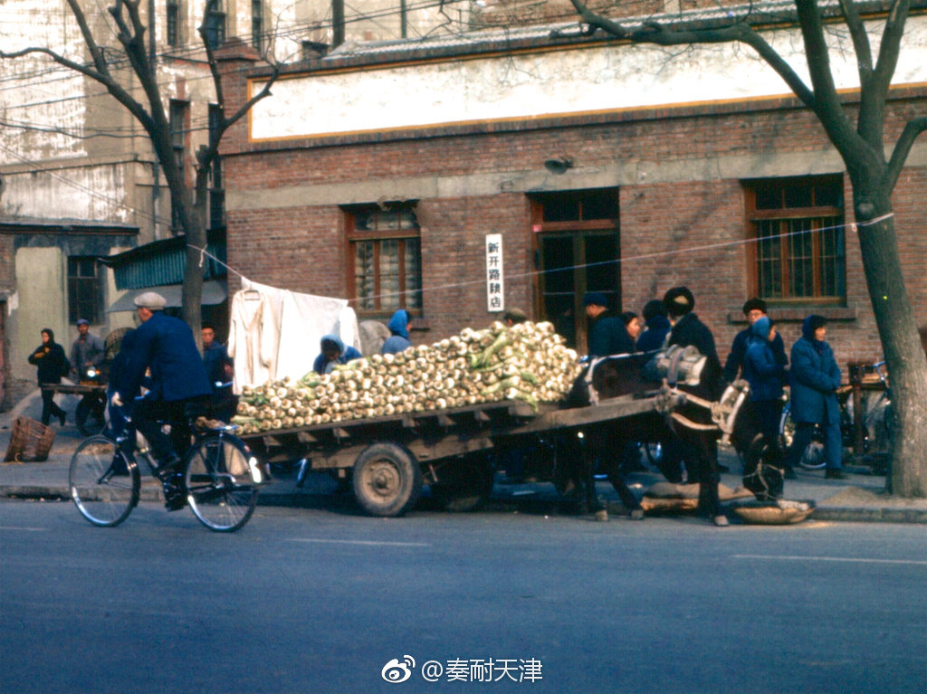 | 天津旧影,1975年.迈克尔.|迈克尔|天津|摄影_新浪新闻
