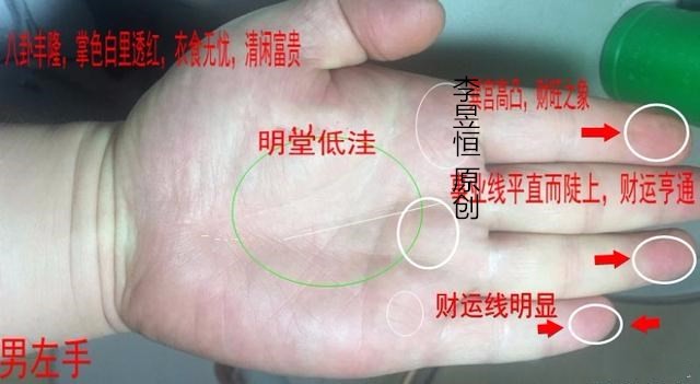 手相入门(之五):命运线玉柱纹的讲解