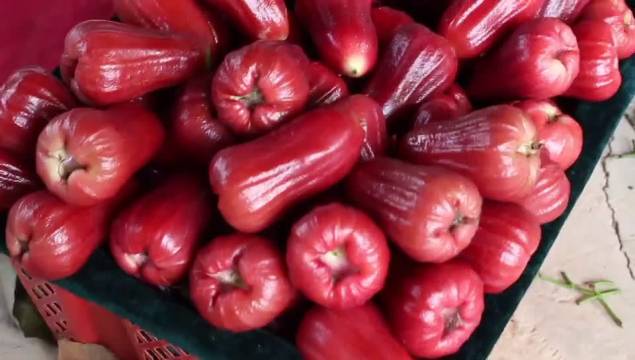 据说很出名的海南登迈 桥头富硒地瓜 一斤几十