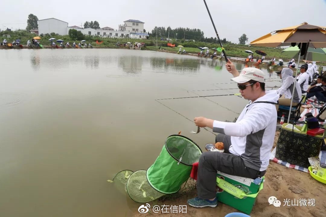 光山某合作社举行钓鱼大赛