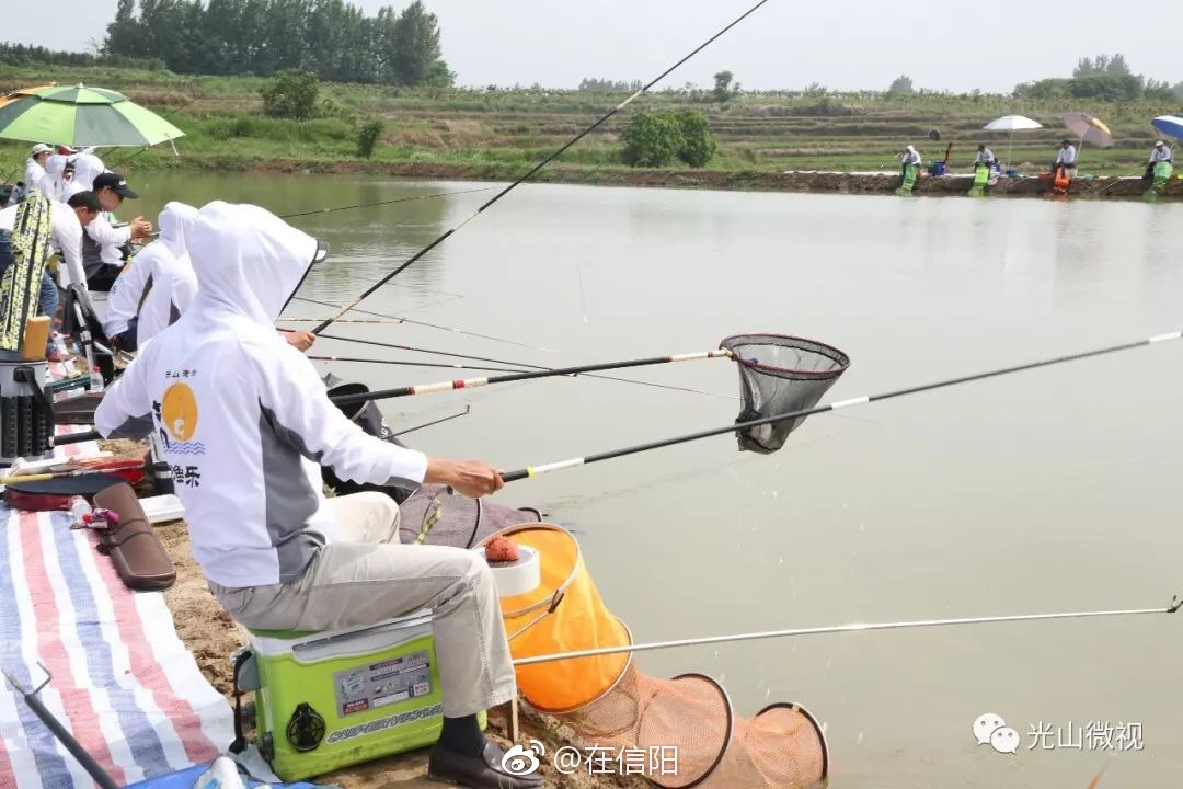 光山某合作社举行钓鱼大赛