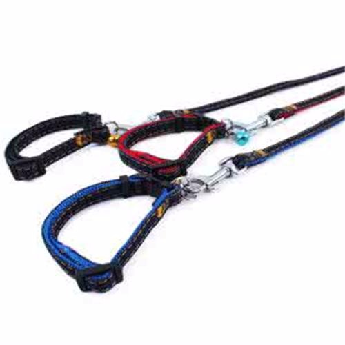 泰迪肚子胀气如何消除,泰迪胀气怎么办