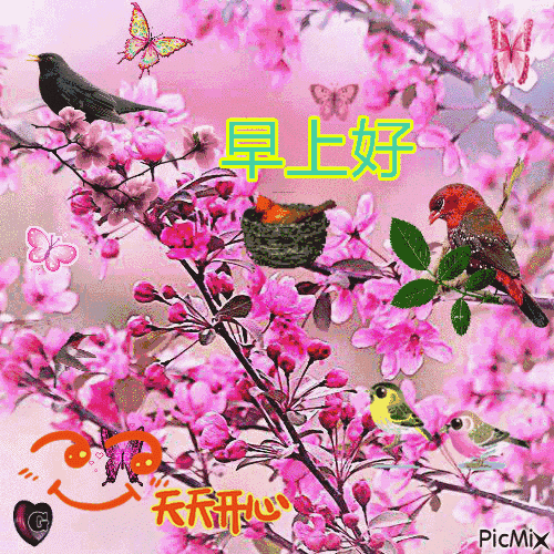 朋友圈早上好图片大全 问候早上好心语带图片表情