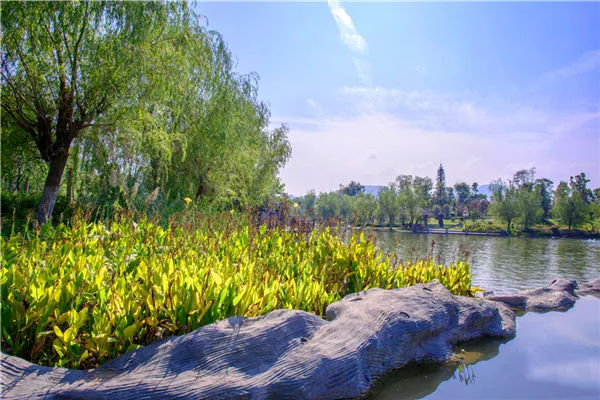 安康高新区用开放包容的姿态点亮秦巴