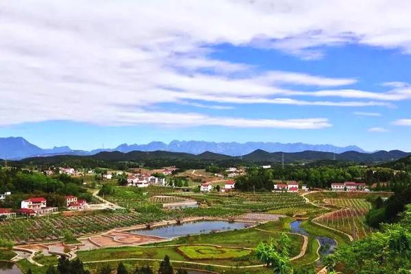 市界岭村,张家墩村,罗田县新铺村,英山县郑冲村,乌云山村,蕲春县雾