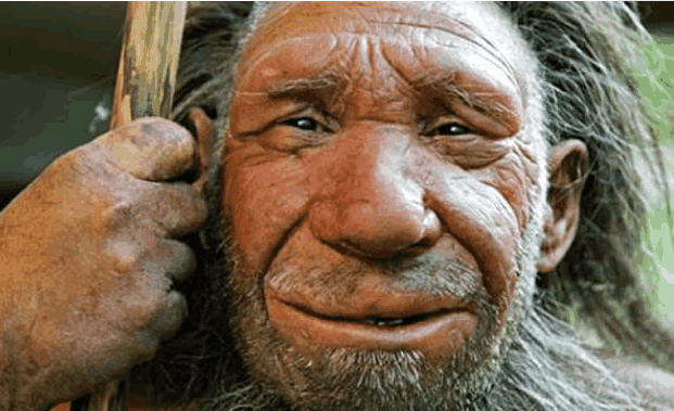 我们的祖先智人有何不同之处竟然能在多个人种中脱颖而出