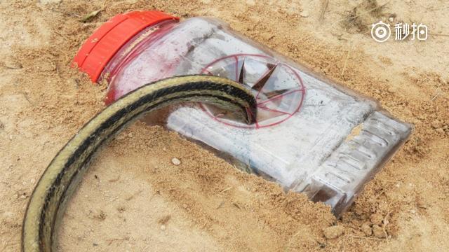 农村小伙山里捕蛇,把陷阱埋在地底下,引来众多毒蛇当洞穴涌进去