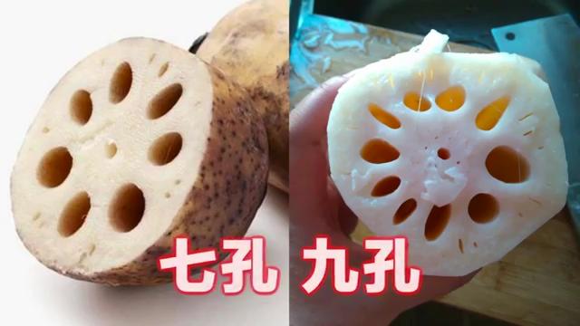 莲藕原来有七孔和九孔的区别,去菜市场千万别再买错了!