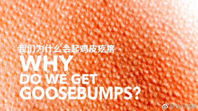 睡睡觉醒了起鸡皮疙瘩(睡觉的时候一阵阵起鸡皮疙瘩) 睡睡觉醒了起鸡皮疙瘩(睡觉的时候一阵阵起鸡皮疙瘩)