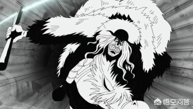 《海贼王》毒q连自己都救不活,为什么能成为黑胡子的御用医生?